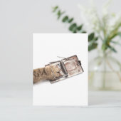 Gefangener Jäger Postkarte (Stehend Vorderseite)