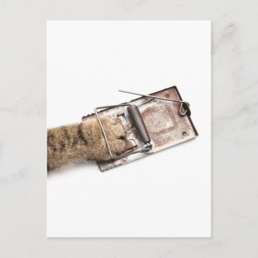 Gefangener Jäger Postkarte (Vorderseite)