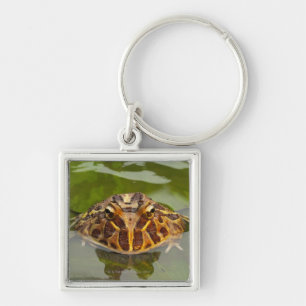 Gefangener, Nebraska, USA Schlüsselanhänger