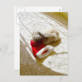 Gefangener Santa Feiertagspostkarte (Vorne/Hinten)