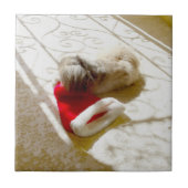 Gefangener Santa Fliese (Vorderseite)