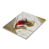 Gefangener Santa Fliese (Seite)