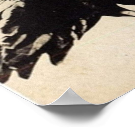 Gefangener-Scorpion Bestie Stable 1973 Shunya Poster (Ecke)