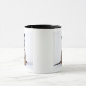 Gefangener, Südafrika 2 Tasse (Zentrum)