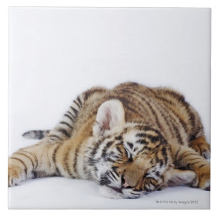 Gefangener, Südafrika 3 Fliese