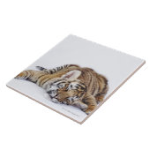 Gefangener, Südafrika 3 Fliese (Seite)