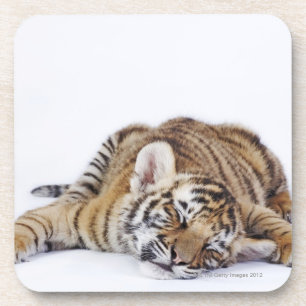 Gefangener, Südafrika 3 Getränkeuntersetzer