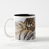 Gefangener, Südafrika 4 Zweifarbige Tasse (Links)