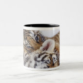Gefangener, Südafrika 4 Zweifarbige Tasse (Mittel)