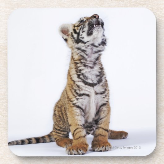 Gefangener, Südafrika Untersetzer (Vorderseite)