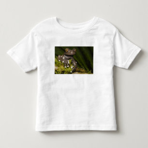 Gefangener Tapichalaca Baumfrosch Hyloscirtus 3 Kleinkind T-shirt