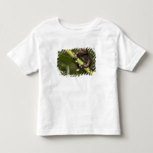 Gefangener Tapichalaca-Laubfrosch Hyloscirtus 2 Kleinkind T-shirt