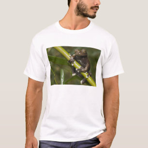 Gefangener Tapichalaca-Laubfrosch Hyloscirtus 2 T-Shirt