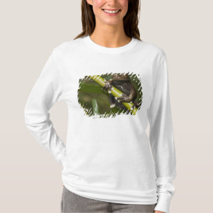 Gefangener Tapichalaca-Laubfrosch Hyloscirtus 2 T-Shirt