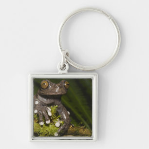 Gefangener Tapichalaca-Laubfrosch Hyloscirtus 3 Schlüsselanhänger