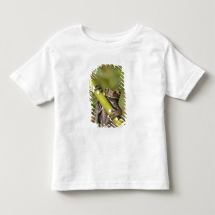 Gefangener Tapichalaca-Laubfrosch Hyloscirtus Kleinkind T-shirt