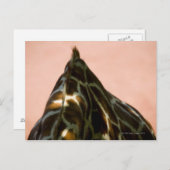 Gefangenes Tier Postkarte (Vorne/Hinten)