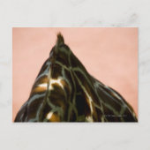 Gefangenes Tier Postkarte (Vorderseite)