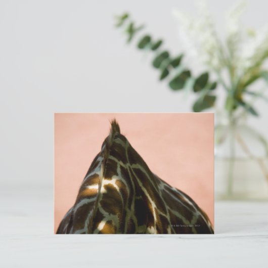 Gefangenes Tier Postkarte (Stehend Vorderseite)