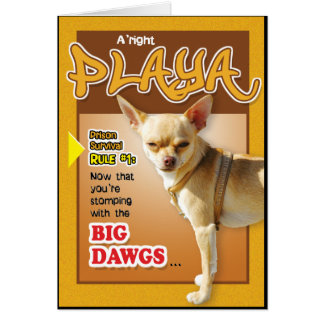 Gefängnis-Karten - SpitzenKumpel