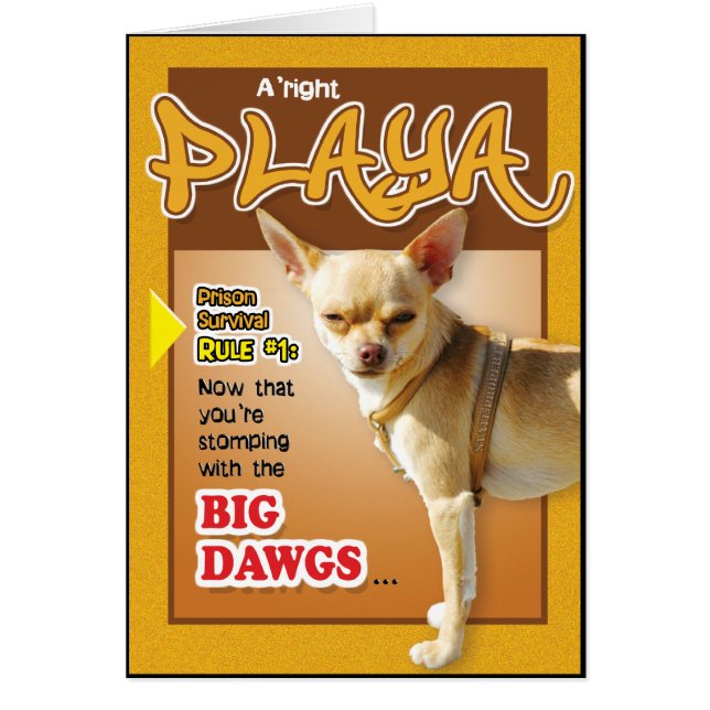 Gefängnis-Karten - SpitzenKumpel (Vorne)