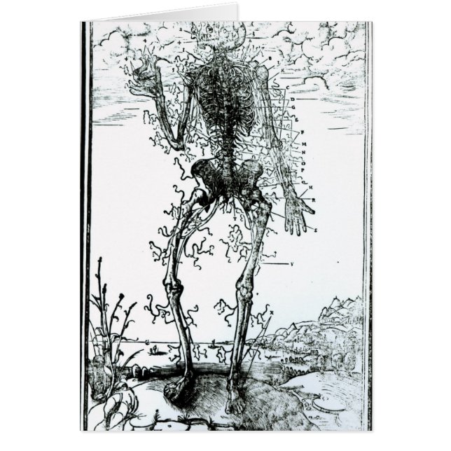 Gefäßsystem des Körpers (Vorne)