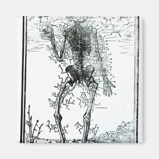 Gefäßsystem des Körpers Magnet (Vorne)