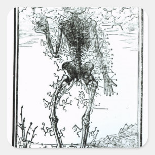 Gefäßsystem des Körpers Quadratischer Aufkleber