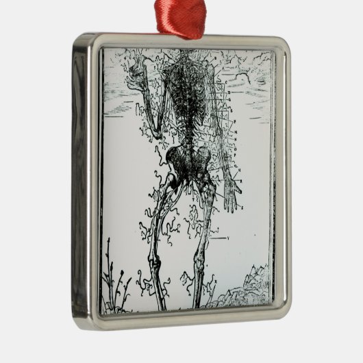 Gefäßsystem des Körpers Silbernes Ornament (Rechts)