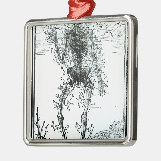 Gefäßsystem des Körpers Silbernes Ornament (Links)