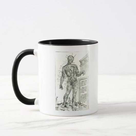 Gefäßsystem entsprechend Charles Etienne Tasse (Links)