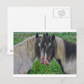 Gefecht Postkarte (Vorne/Hinten)
