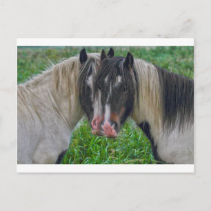 Gefecht Postkarte