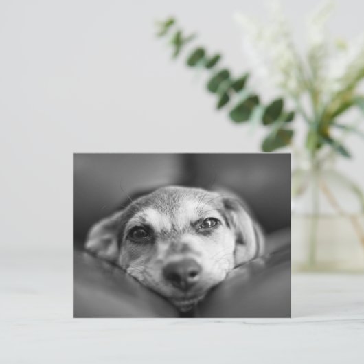 Gefecht Postkarte (Stehend Vorderseite)