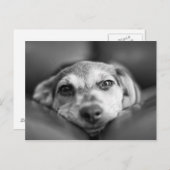 Gefecht Postkarte (Vorne/Hinten)