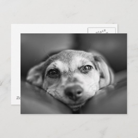 Gefecht Postkarte (Vorne/Hinten)