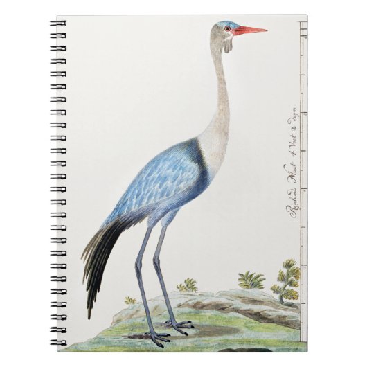 Gefechtskranich Notizblock (Vorderseite)