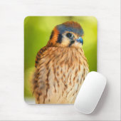 Gefiederte Glut: Der Wachsame Turmfalke Mousepad (Mit Mouse)