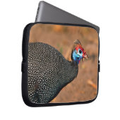 Gefiederte Guinea (Numida meleagris). Afrika, Laptopschutzhülle (Vorne Rechts)