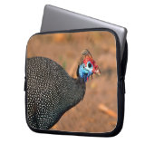 Gefiederte Guinea (Numida meleagris). Afrika, Laptopschutzhülle (Vorderseite Links)