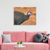 Gefiederte Guinea (Numida meleagris). Afrika, Leinwanddruck (Insitu (Wohnzimmer))