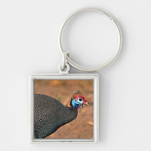 Gefiederte Guinea (Numida meleagris). Afrika, Schlüsselanhänger (Vorne)