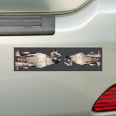 Gefleckte Dogge Autoaufkleber (Auf Auto)