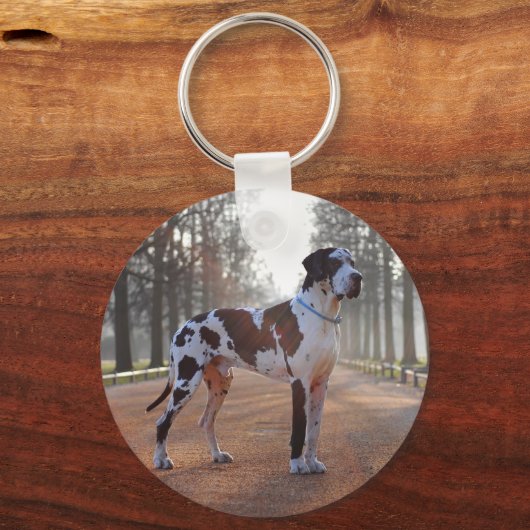 Gefleckte Dogge Schlüsselanhänger (Vorderseite)