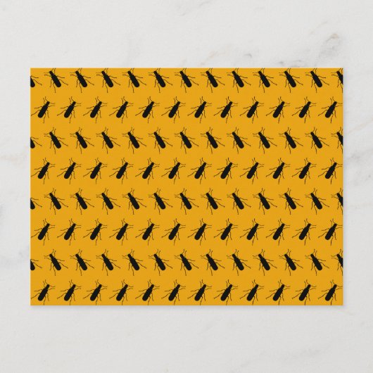 Gefleckte Käfer Postkarte (Vorderseite)