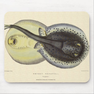 Gefleckte Stachelrochen, Vintage Meeres Tiere Mousepad