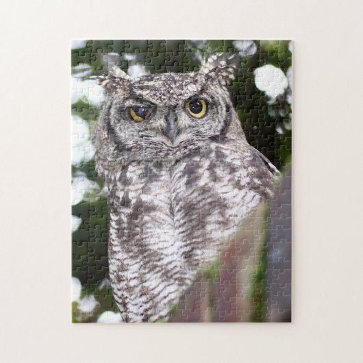 Gefleckter Adlerkauz Greifvogel Puzzle (Vertikal)