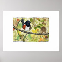 Gefleckter Buchfink, Vogelbild, Wandkunst, Dekorat