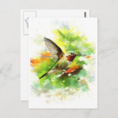 Gefleckter Hummingbird Postkarte (Vorne/Hinten)