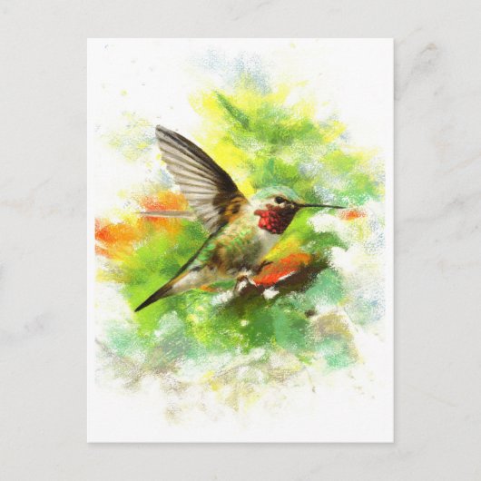 Gefleckter Hummingbird Postkarte (Vorderseite)